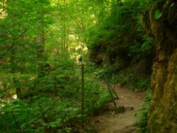 2013-07-20_Regina-F-Rau_Kochel-Rabenkopf (105).JPG